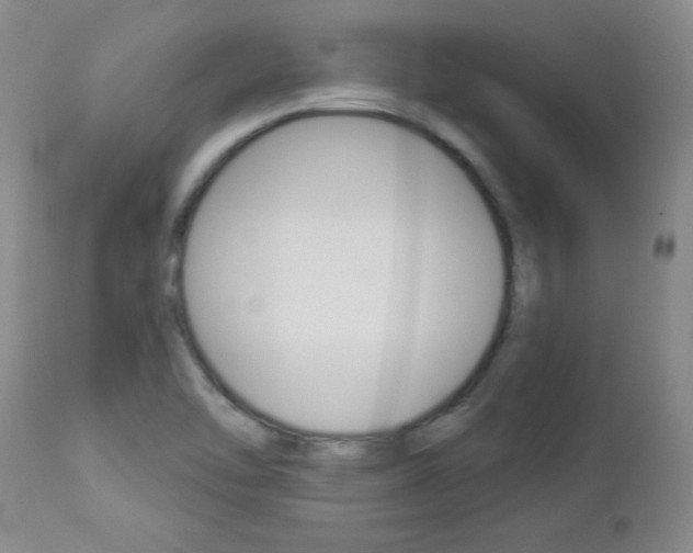 X0000112861462200908211043