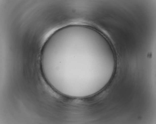 X0000112861463200908211043