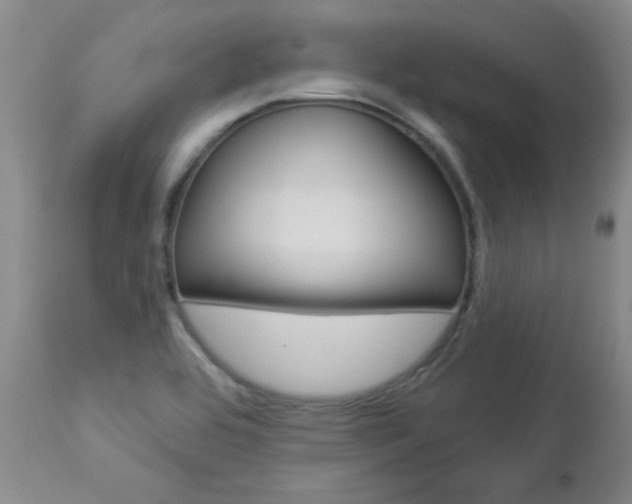 X0000112861464200908211043