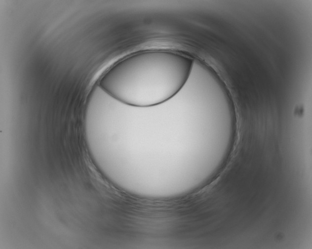 X0000112861465200908211043