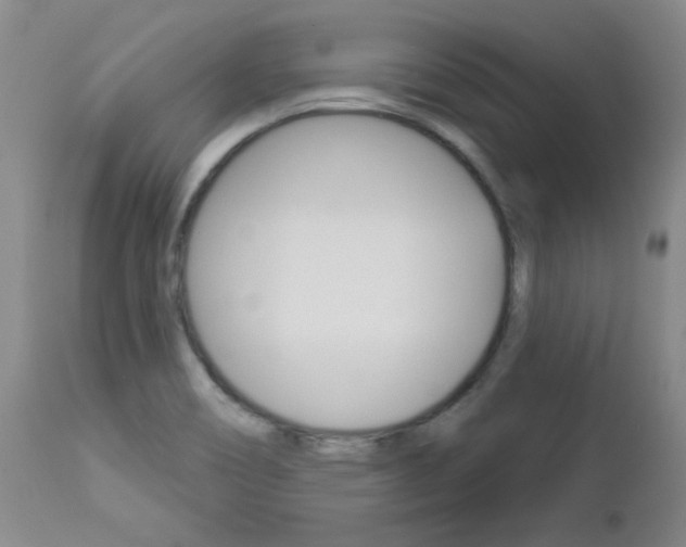 X0000112861466200908211043