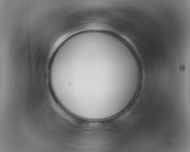 X0000112861467200908211043