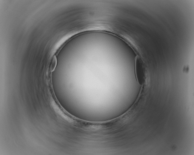 X0000112861468200908211043