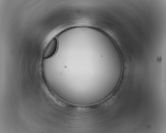 X0000112861469200908211043