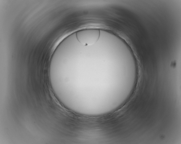 X0000112861473200908211043