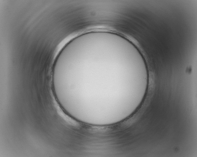 X0000112861474200908211043