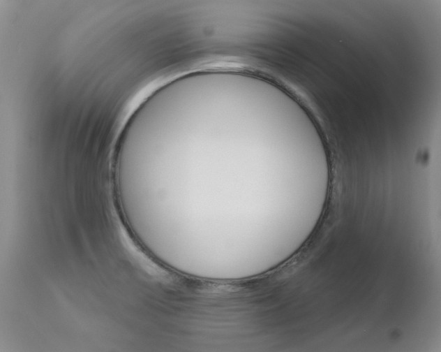 X0000112861475200908211043