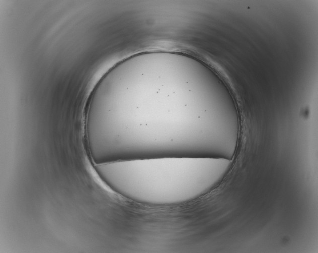 X0000112861479200908211043
