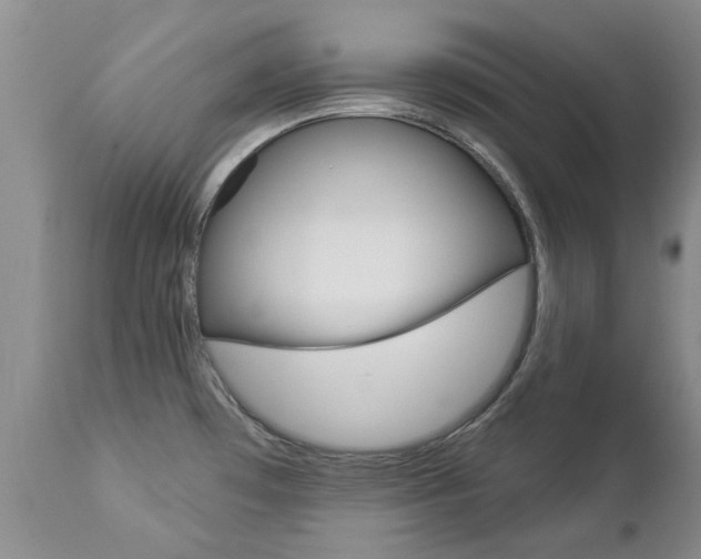 X0000112861481200908211043