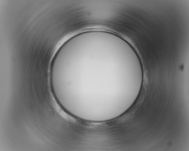 X0000112861482200908211043