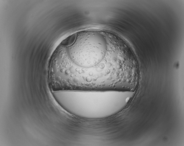 X0000112861483200908211043