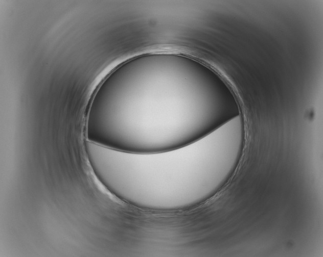 X0000112861484200908211043