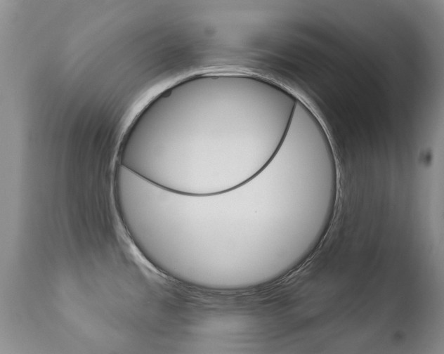 X0000112861485200908211043