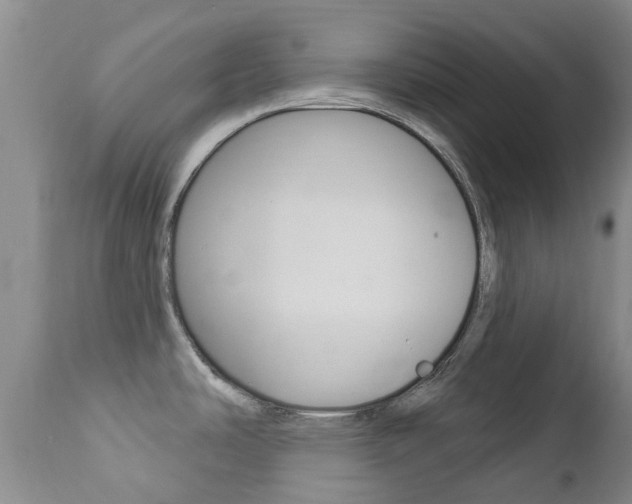 X0000112861486200908211043