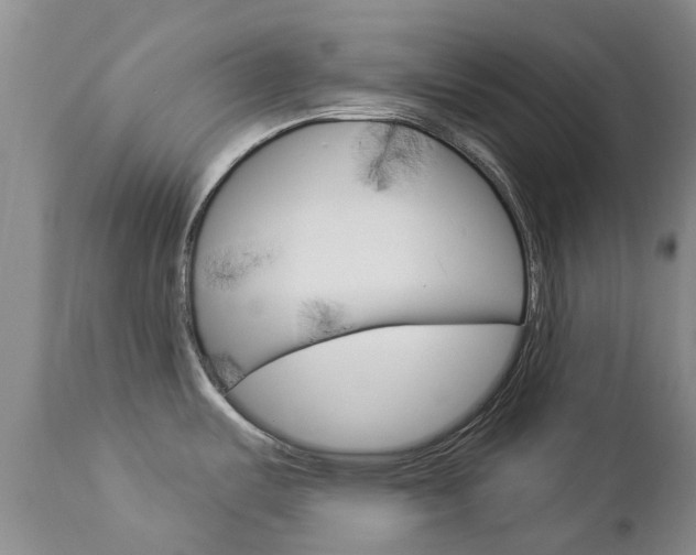 X0000112861487200908211043