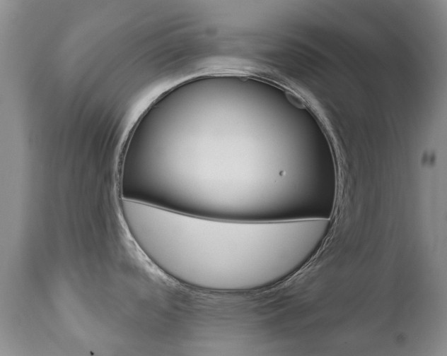 X0000112861488200908211043