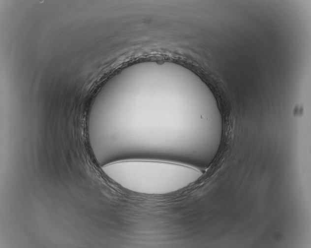 X0000112861490200908211042