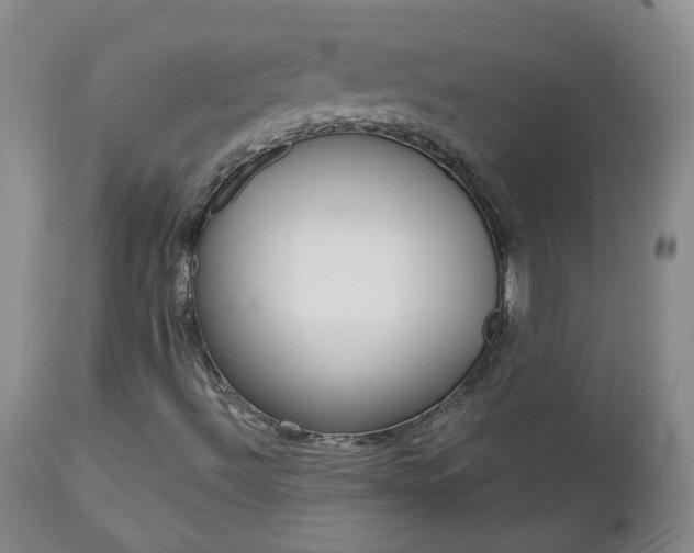 X0000112861492200908211042
