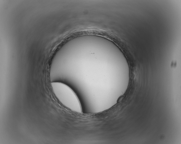 X0000112861493200908211042