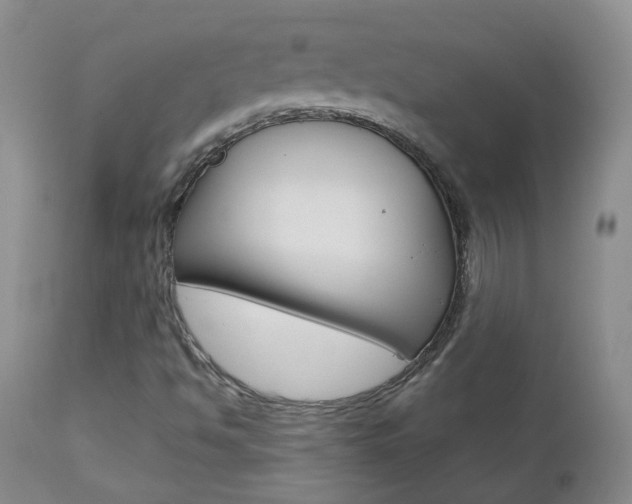 X0000112861494200908211042