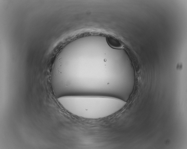 X0000112861495200908211042