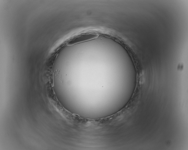 X0000112861496200908211042