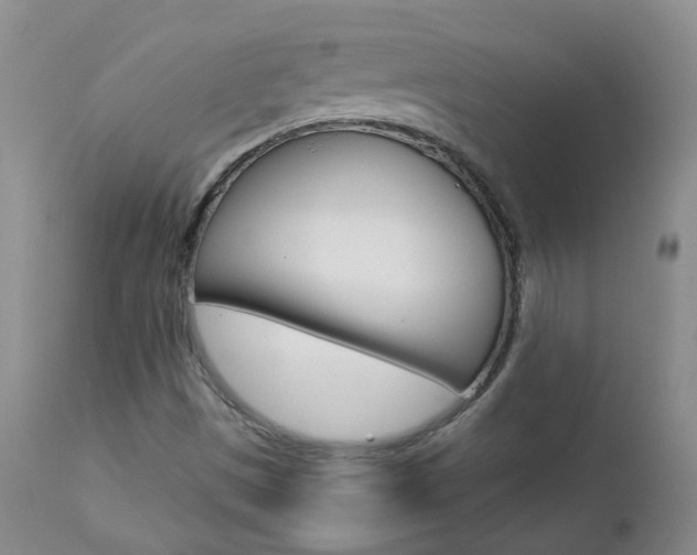 X0000112861497200908211042