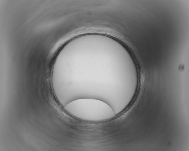 X0000112861498200908211042