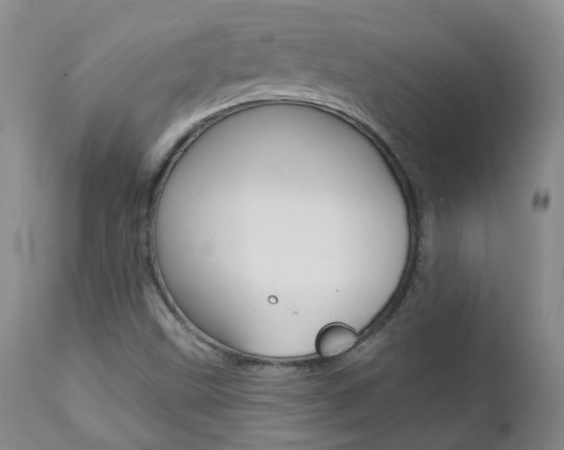 X0000112861499200908211042