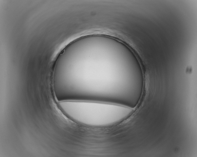 X0000112861500200908211042