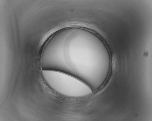 X0000112861501200908211042