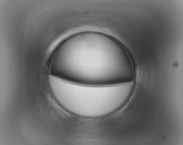 X0000112861502200908211042