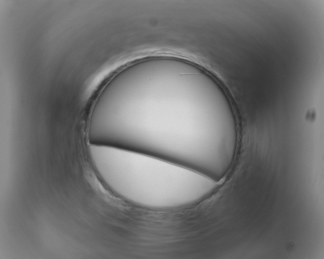X0000112861503200908211042