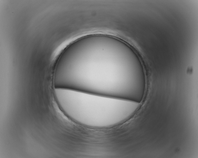 X0000112861504200908211042