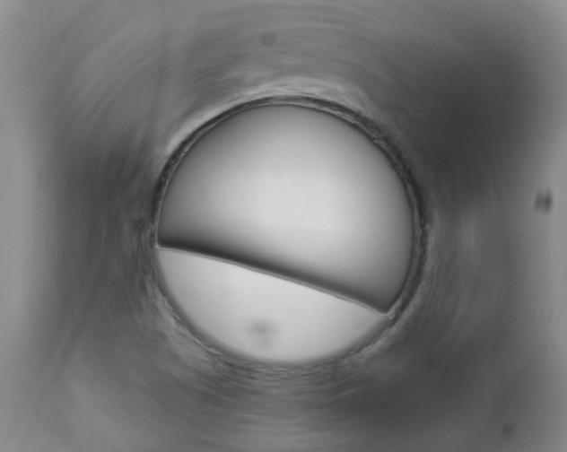 X0000112861505200908211042