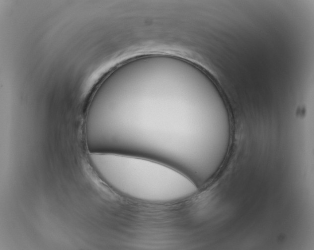 X0000112861507200908211042