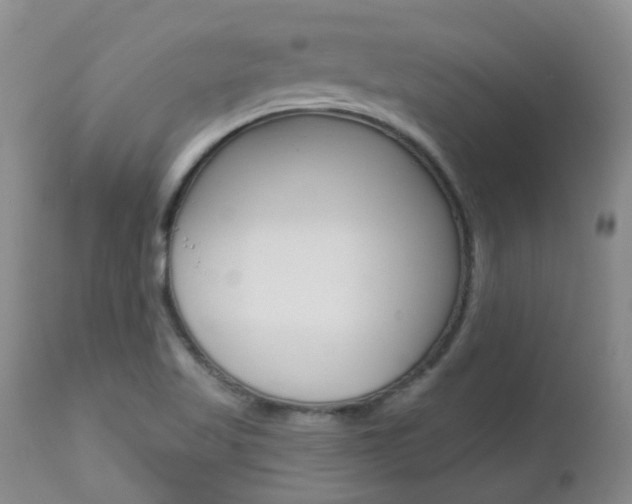 X0000112861509200908211042