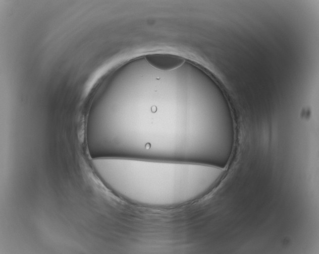 X0000112861510200908211042