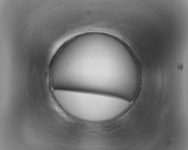 X0000112861511200908211042