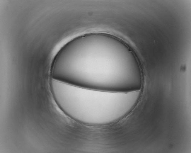 X0000112861512200908211042