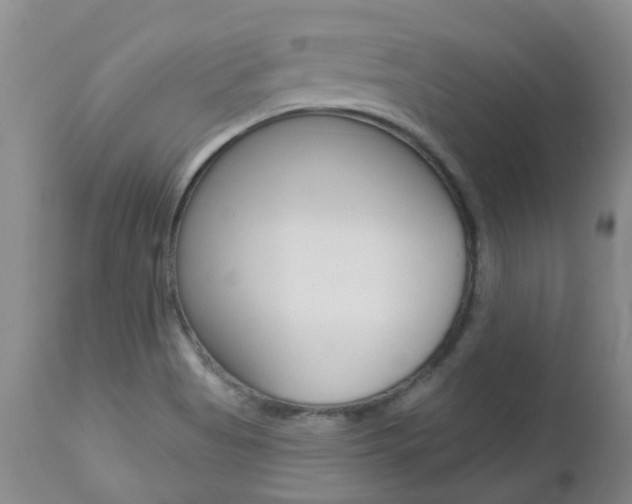 X0000112861513200908211042