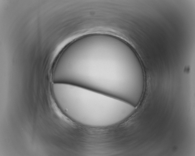 X0000112861515200908211042