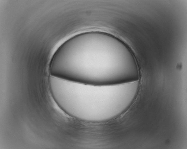 X0000112861516200908211042