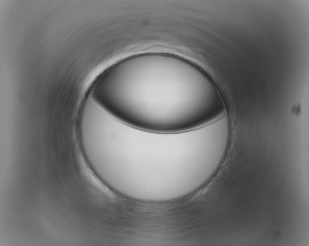 X0000112861518200908211042