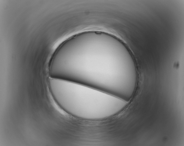 X0000112861519200908211042