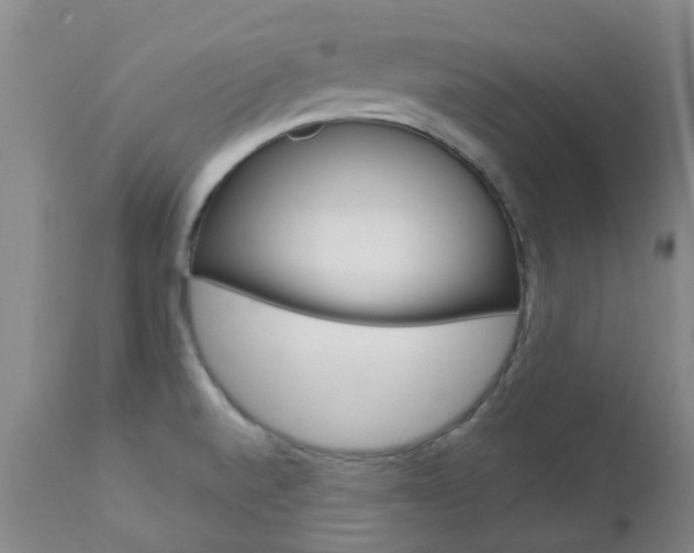 X0000112861520200908211042