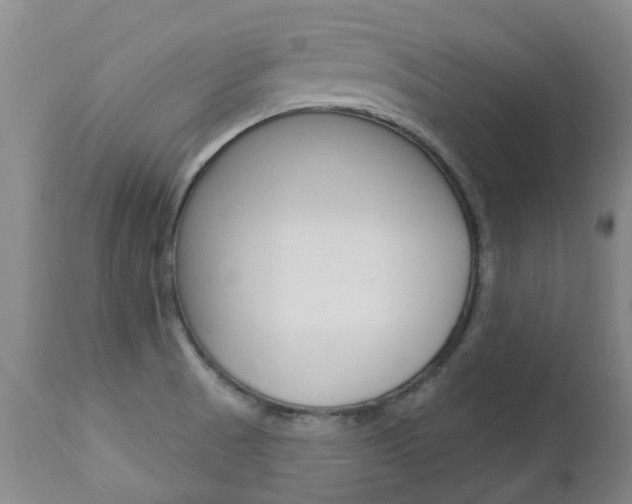 X0000112861521200908211042