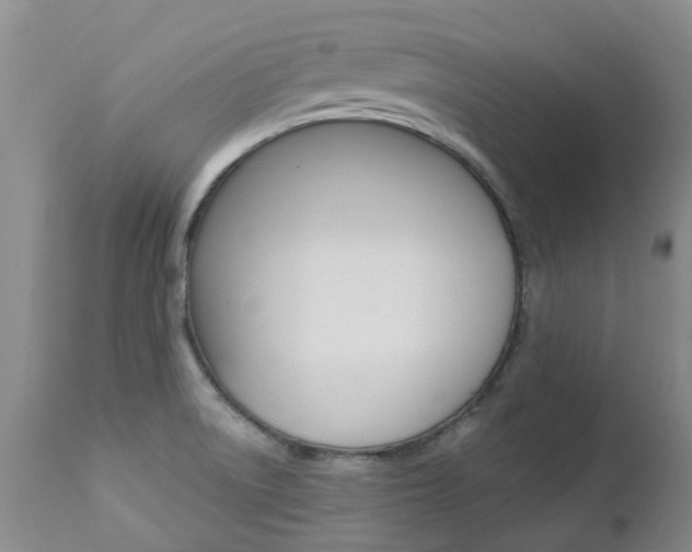 X0000112861522200908211043