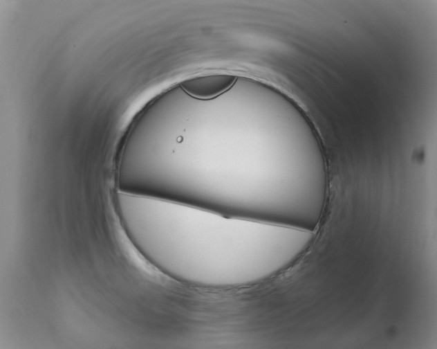 X0000112861523200908211043