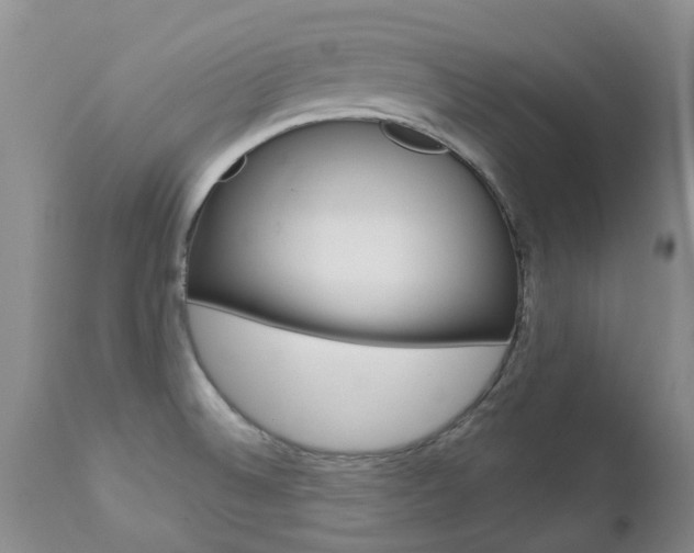 X0000112861524200908211043